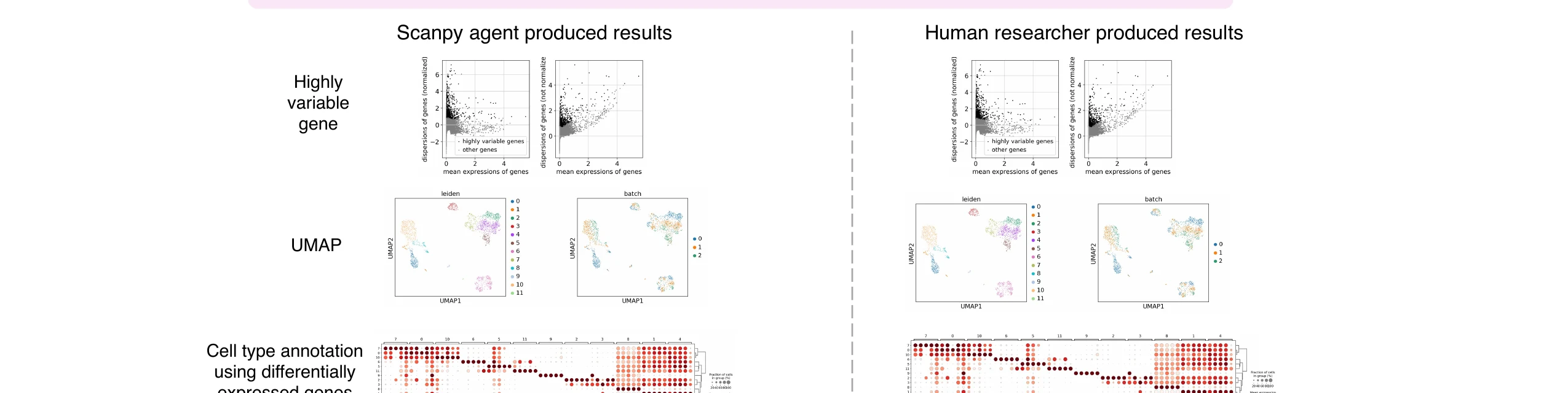 Figura del paper a dos columnas, separadas por una línea de puntos: «Scanpy agent produced results» a la izquierda y «Human researcher produced results» a la derecha, con los mismos tres análisis enfrentados fila a fila —genes altamente variables, UMAP y anotación de tipos celulares por genes expresados de forma diferencial— y unas gráficas visualmente indistinguibles entre una columna y otra.